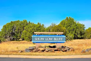 2280 E Rockgarden Ln, Show Low, AZ 85901 - Photo 37