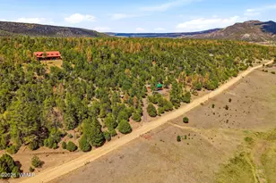 169 County Road 2108, Nutrioso, AZ 85932 - Photo 31