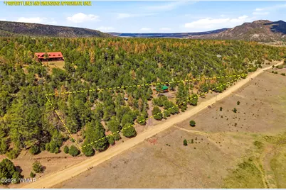 169 County Road 2108, Nutrioso, AZ 85932 - Photo 3