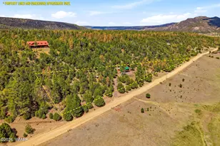 169 County Road 2108, Nutrioso, AZ 85932 - Photo 3
