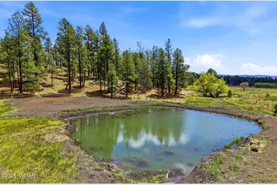28 County Road 2310, Alpine, AZ 85920 - Photo 41
