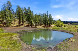 28 County Rd 2310, Alpine, AZ 85920 - Photo 41