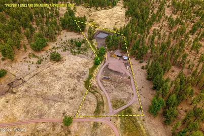 28 County Road 2310, Alpine, AZ 85920 - Photo 3