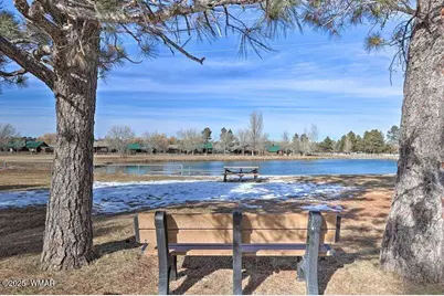 2361 Quarter Horse Trail, Overgaard, AZ 85933 - Photo 17