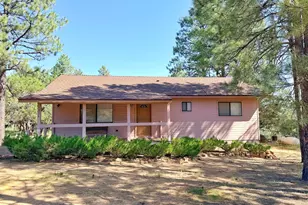 1924 Little Doe Trail, Overgaard, AZ 85933 - Photo 3