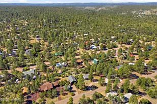 1924 Little Doe Trail, Overgaard, AZ 85933 - Photo 27