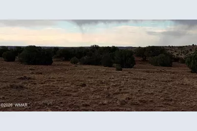 2 N8604, Concho, AZ 85924 - Photo 7