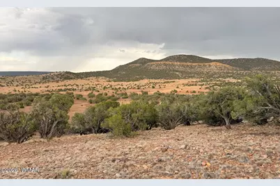 2 N8604, Concho, AZ 85924 - Photo 3