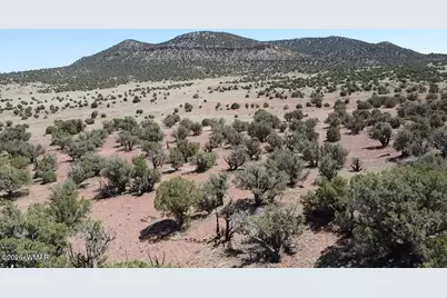 2 N8604, Concho, AZ 85924 - Photo 3