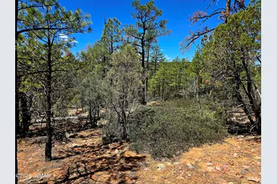 2953 S White Mountain, Show Low, AZ 85901 - Photo 5