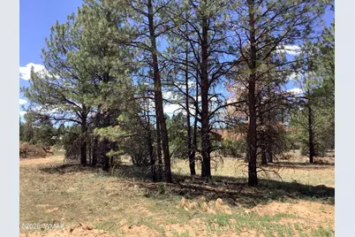 Tbd Cedar Bark Trail, Overgaard, AZ 85933 - Photo 1