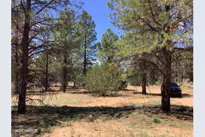 Tbd Cedar Bark Trail, Overgaard, AZ 85933 - Photo 5