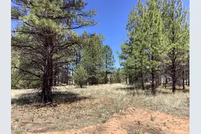 Tbd Cedar Bark Trail, Overgaard, AZ 85933 - Photo 3