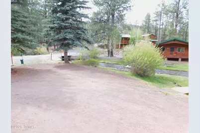 Cabin 88 Rohrer Road, Greer, AZ 85927 - Photo 13