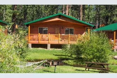 Cabin 95 Rohrer Road, Greer, AZ 85927 - Photo 5