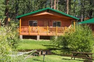 Cabin 95 Rohrer Rd, Greer, AZ 85927 - Photo 5