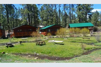 Cabin 95 Rohrer Road, Greer, AZ 85927 - Photo 15