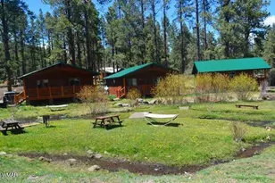 Cabin 95 Rohrer Rd, Greer, AZ 85927 - Photo 15