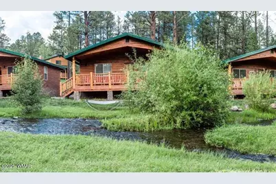 Cabin 95 Rohrer Road, Greer, AZ 85927 - Photo 3