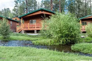 Cabin 95 Rohrer Rd, Greer, AZ 85927 - Photo 3