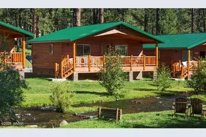 Cabin 95 Rohrer Road, Greer, AZ 85927 - Photo 1