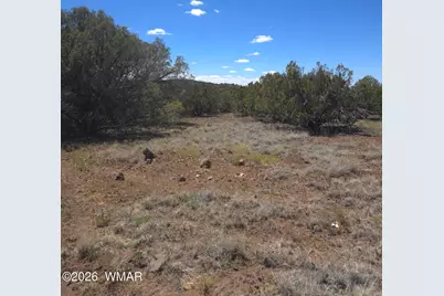 8523 Bobcat Drive, Show Low, AZ 85901 - Photo 11