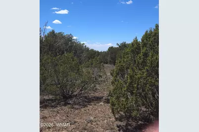 8523 Bobcat Drive, Show Low, AZ 85901 - Photo 15