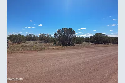 8523 Bobcat Drive, Show Low, AZ 85901 - Photo 3