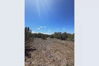 8523 Bobcat Drive, Show Low, AZ 85901 - Photo 17