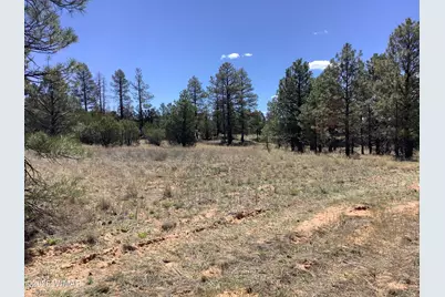 Tbd Cedar Bark Trail, Overgaard, AZ 85933 - Photo 3