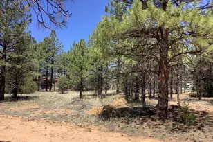 Tbd Cedar Bark Trail, Overgaard, AZ 85933 - Photo 1