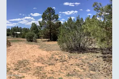 Tbd Cedar Bark Trail, Overgaard, AZ 85933 - Photo 7
