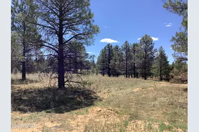 Tbd Cedar Bark Trail, Overgaard, AZ 85933 - Photo 1