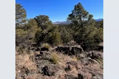 Lot 002P N8689, Concho, AZ 85924 - Photo 15