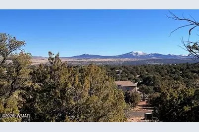 Lot 002P N8689, Concho, AZ 85924 - Photo 1