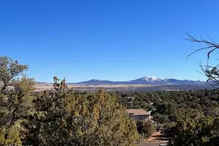 Lot 002P N8689, Concho, AZ 85924 - Photo 1