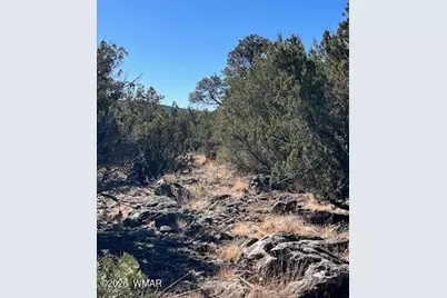 Lot 002P N8689, Concho, AZ 85924 - Photo 17