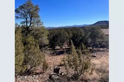 Lot 002P N8689, Concho, AZ 85924 - Photo 3