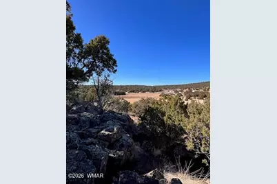 Lot 002P N8689, Concho, AZ 85924 - Photo 9