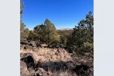 Lot 002P N8689, Concho, AZ 85924 - Photo 13
