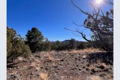 Lot 002P N8689, Concho, AZ 85924 - Photo 11