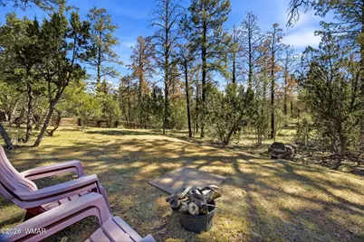 2763 Chandelle Lane, Overgaard, AZ 85933 - Photo 29