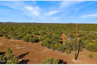 20 Cr N8623, Concho, AZ 85924 - Photo 9
