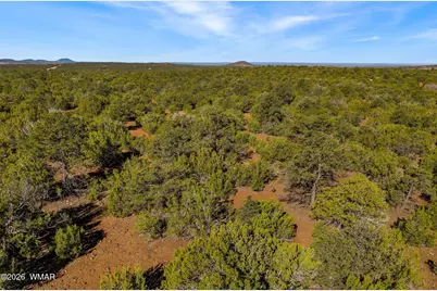 28 Cr N8623, Concho, AZ 85924 - Photo 9
