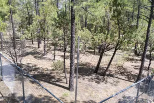 3557 Oakview Ln, Lakeside, AZ 85929 - Photo 49