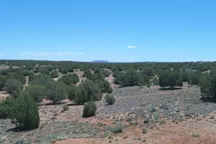 30 N9220, Concho, AZ 85924 - Photo 71