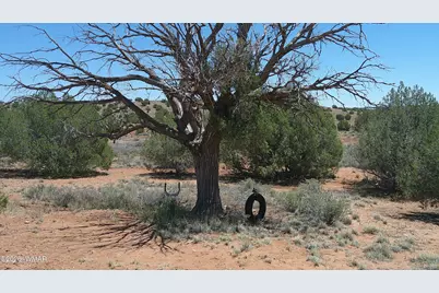 30 N9220, Concho, AZ 85924 - Photo 61