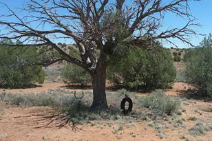 30 N9220, Concho, AZ 85924 - Photo 61