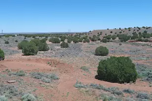 30 N9220, Concho, AZ 85924 - Photo 75