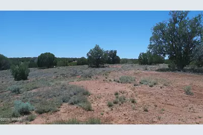 30 N9220, Concho, AZ 85924 - Photo 69